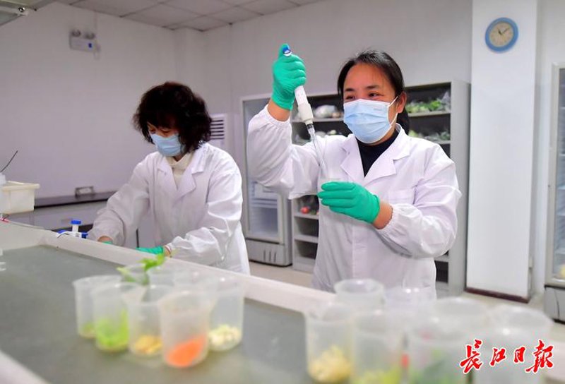 工业检测